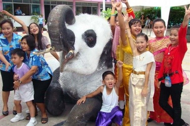 Elephant? Panda? What is this? (11 pics)