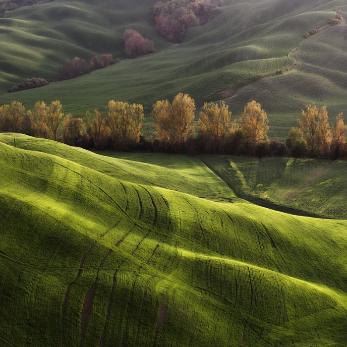 Beautiful Nature Photos by Marcin Sacha (37 pics)