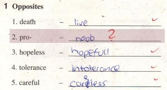 Funny Exam Answers (38 pics)