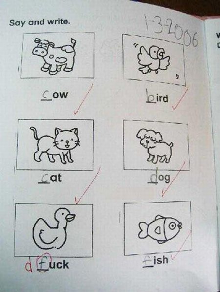 Funny Exam Answers (38 pics)