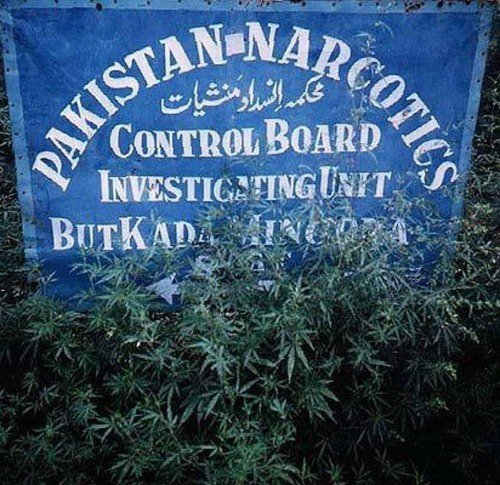 Interesting from Pakistan