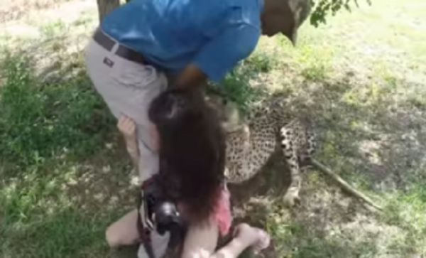 Woman Is Surprised By Cheetah Attack During Guided Tour!