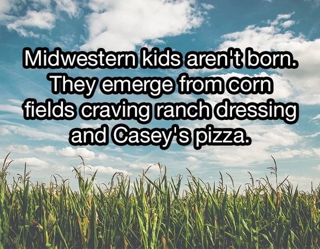 Midwest Memes (26 pics)