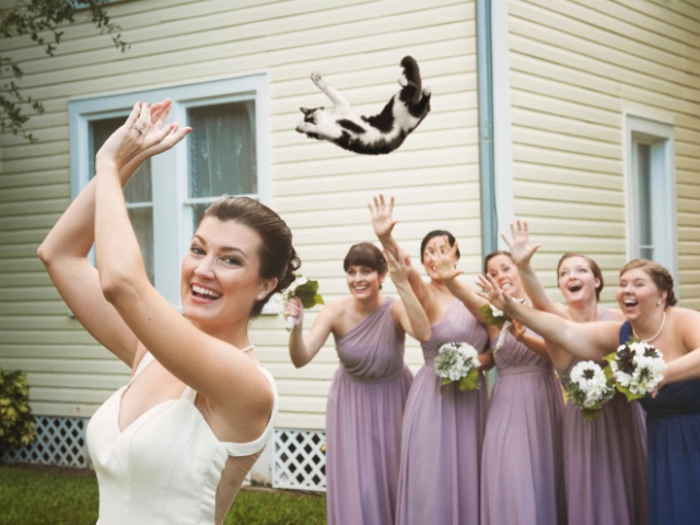 Bridal Bouquets Replaced With Cats (20 pics)