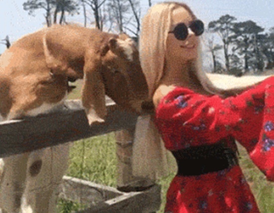 Girl Fails (16 gifs)