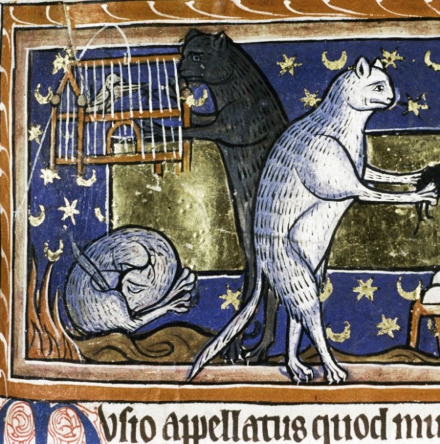 Medieval Paintings of Cats Licking Their Butts (15 pics)
