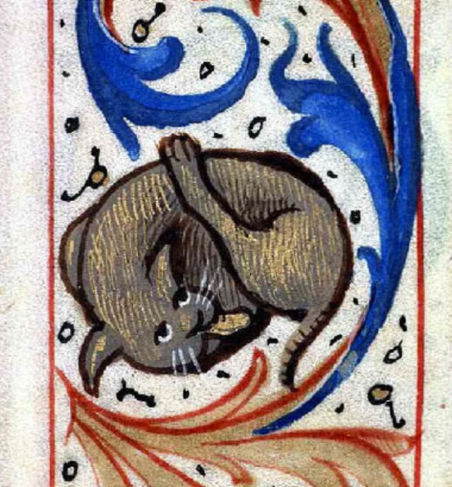 Medieval Paintings of Cats Licking Their Butts (15 pics)
