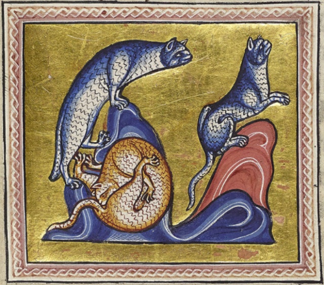 Medieval Paintings of Cats Licking Their Butts (15 pics)