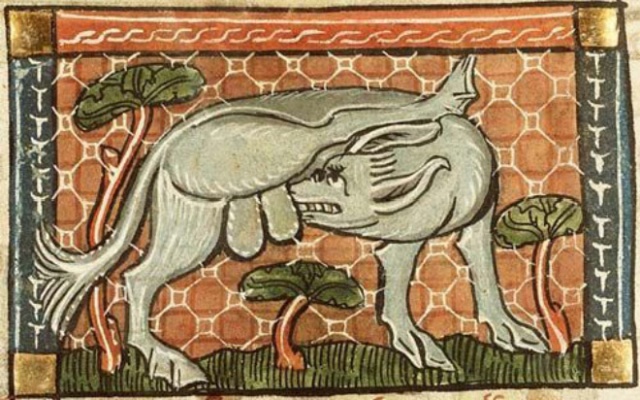 Medieval Paintings of Cats Licking Their Butts (15 pics)