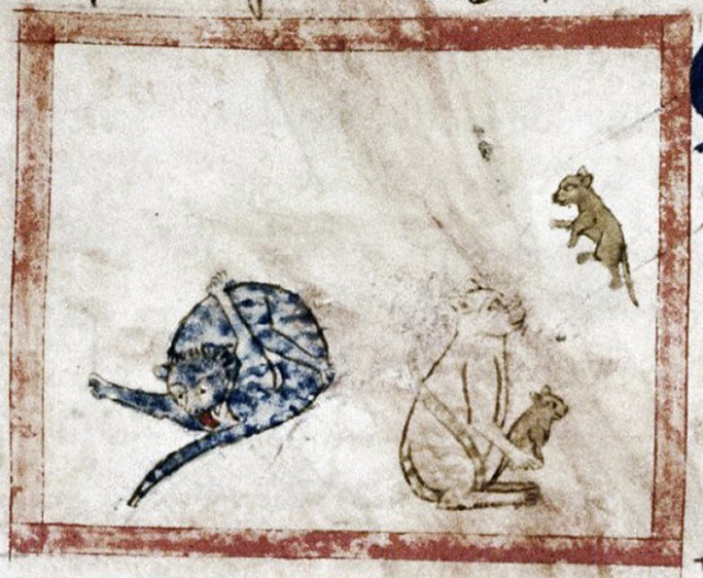 Medieval Paintings of Cats Licking Their Butts (15 pics)