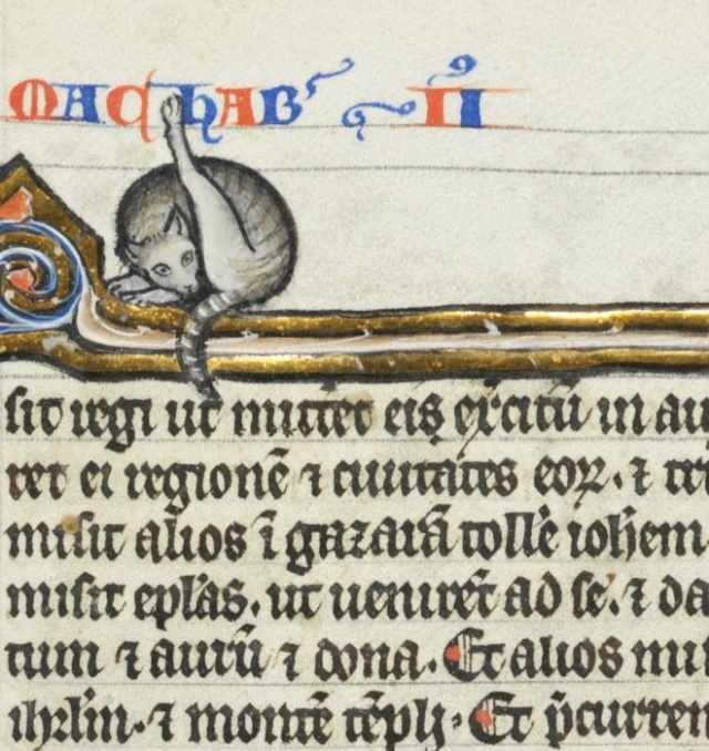 Medieval Paintings of Cats Licking Their Butts (15 pics)