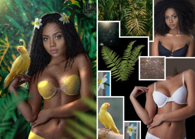 Creating Good Collages (19 pics)