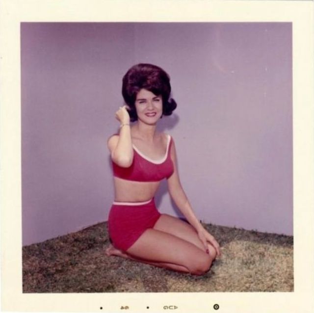 Girls in Swimsuits From the 1960s (29 pics)