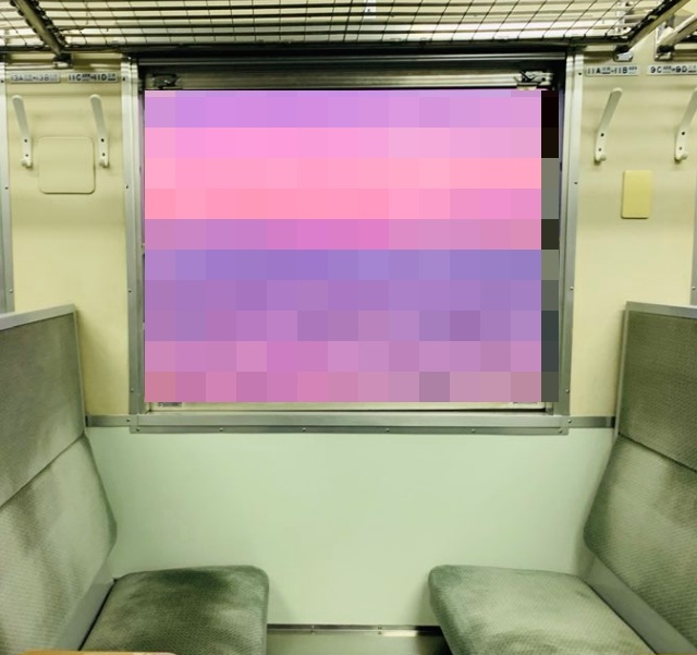 The View From Japan’s Gono Train (3 pics)