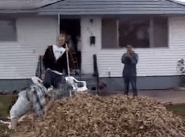 Falling Into Autumn Leaves (17 GIFs)