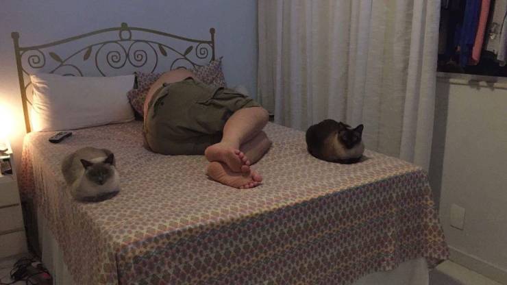 Acid Picdump. Part 1 (98 pics)