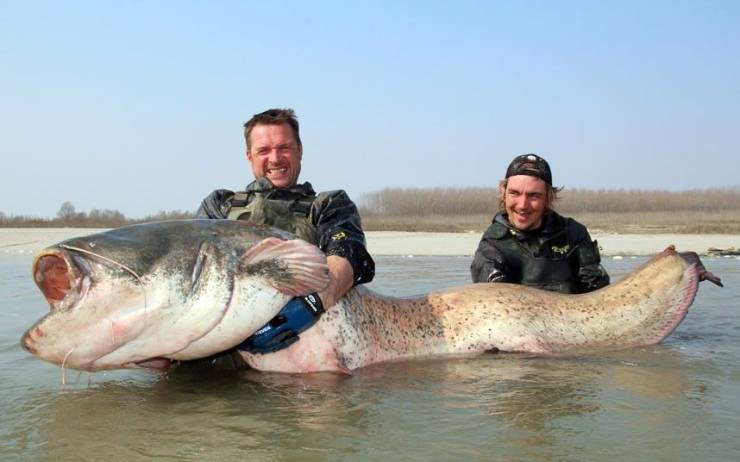 Acid Picdump. Part 1 (98 pics)