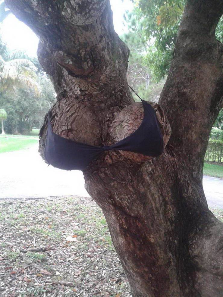 Acid Picdump. Part 1 (98 pics)
