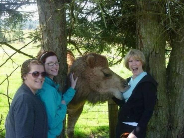 Acid Picdump. Part 1 (98 pics)