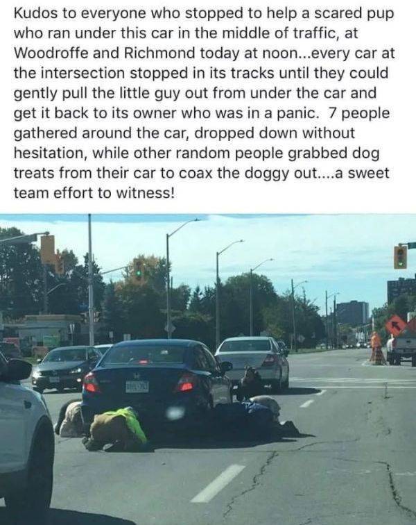 Acid Picdump. Part 1 (98 pics)