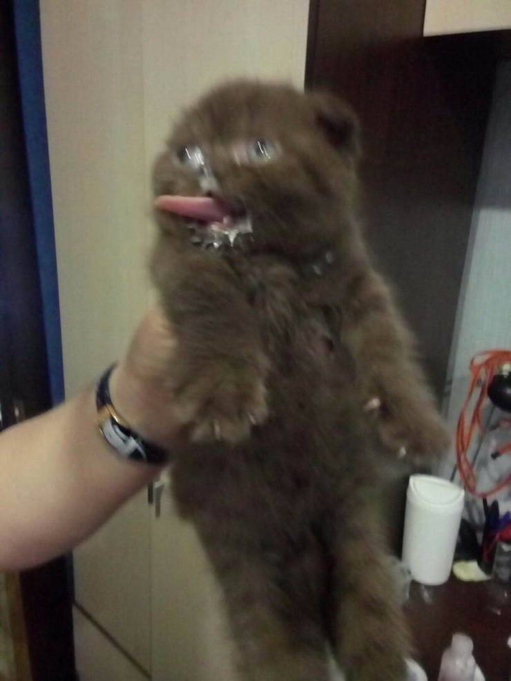 Acid Picdump. Part 1 (98 pics)