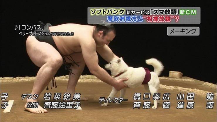 Acid Picdump. Part 1 (98 pics)