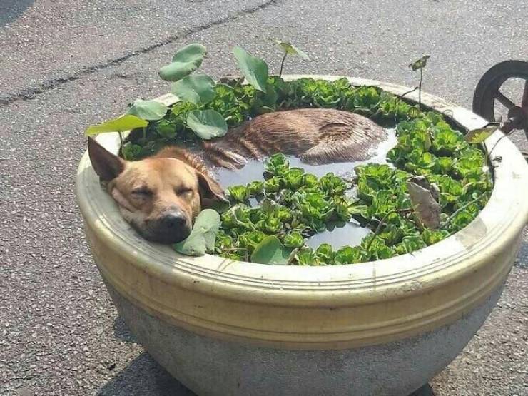 Acid Picdump. Part 1 (98 pics)