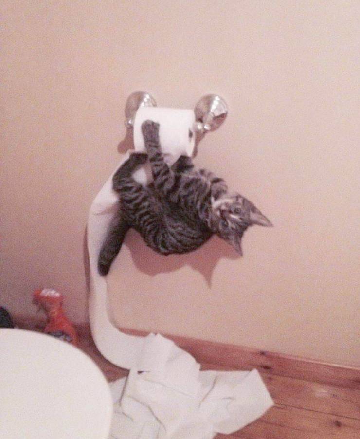Acid Picdump. Part 1 (98 pics)