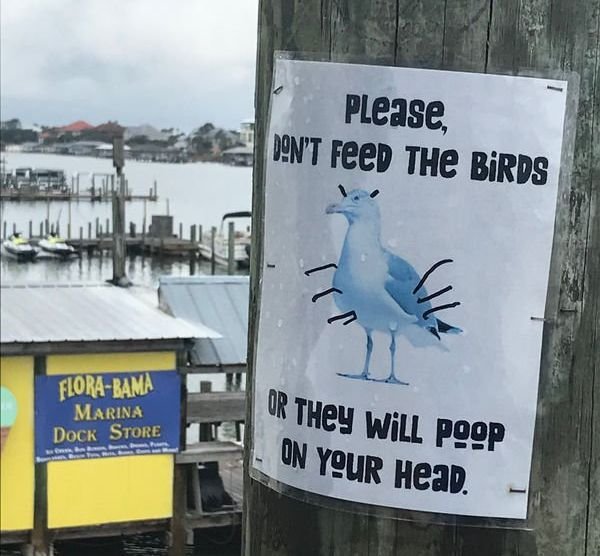 Weird Signs (36 pics)