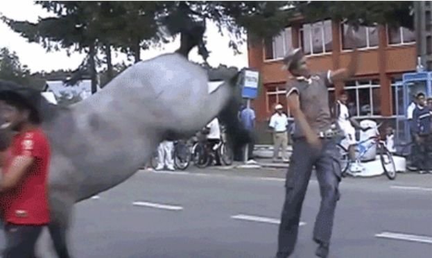 Instant Karma (17 gifs)