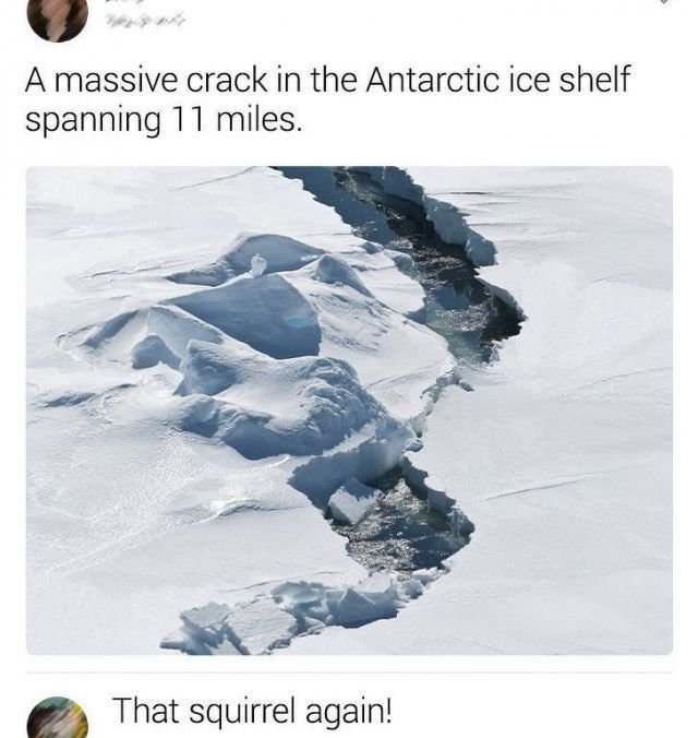 Smart Comments (14 pics)
