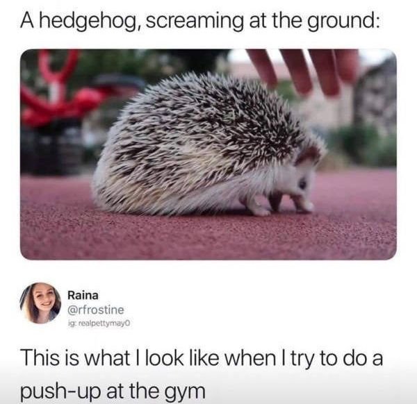 Random Funny Memes (31 pics)