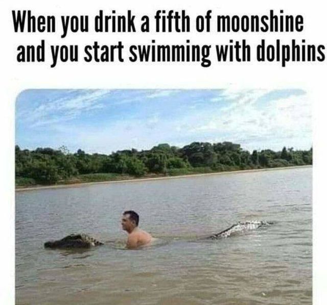 Drunk Memes (44 pics)