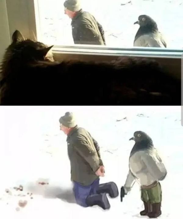 Blursed Images (18 pics)