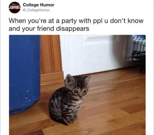 Secrets Of Introverts (22 pics)