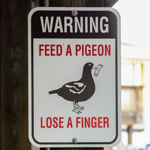 Smart Signs (35 pics)