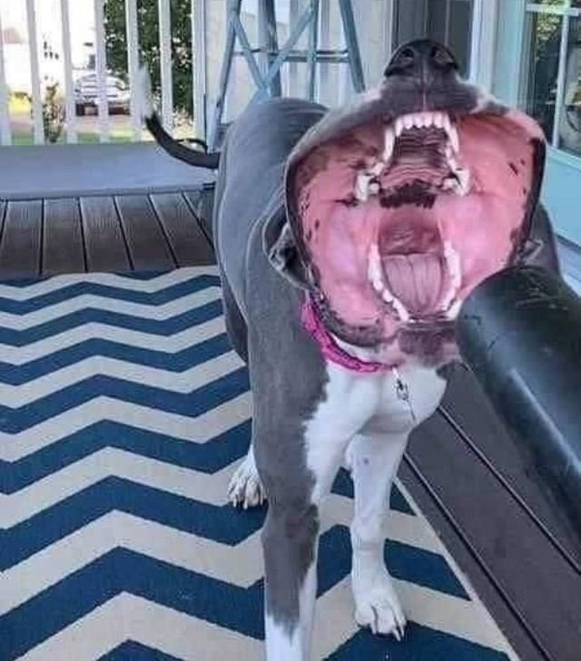 OMG Pictures (35 pics)