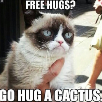 The Top Memes Of All Times