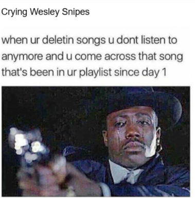 The Top Memes Of All Times