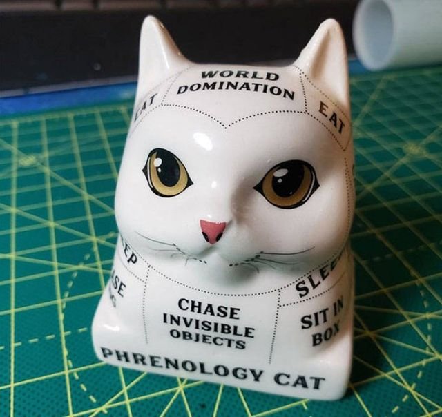 Thrift Stores Treasures (30 pics)