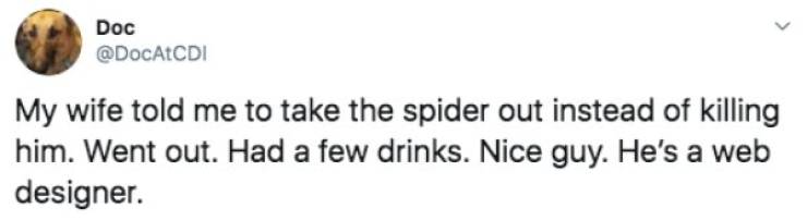 Random Funny Tweets (50 pics)