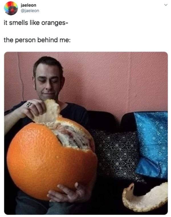 Random Funny Tweets (50 pics)