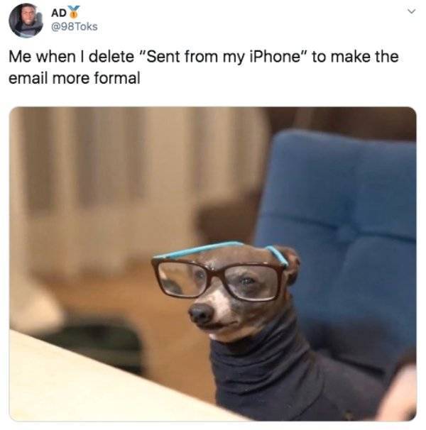 Random Funny Tweets (50 pics)
