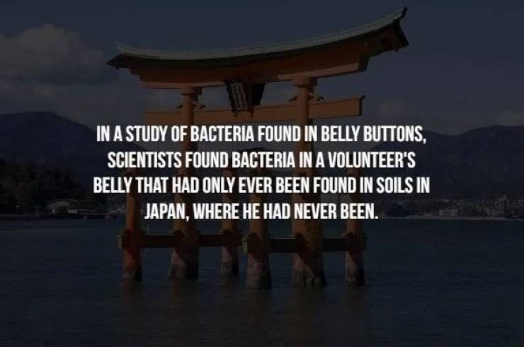 Scary Facts (17 pics)
