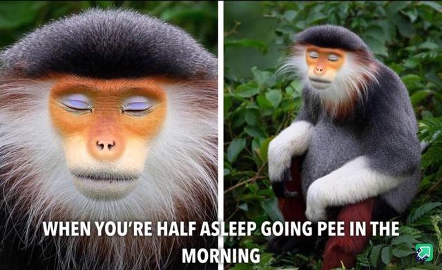 Acid Picdump. Part 2 (100 pics)