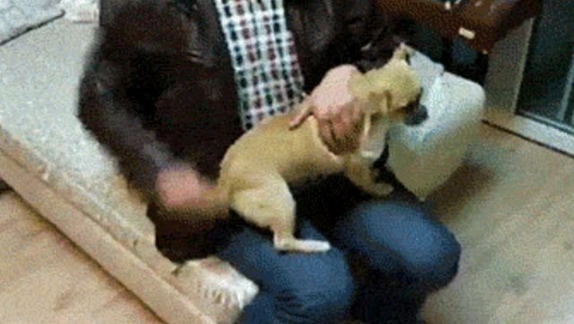 Wins And Fails (15 gifs)