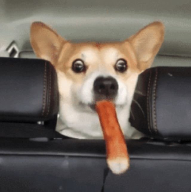 Wow GIFs (14 gifs)
