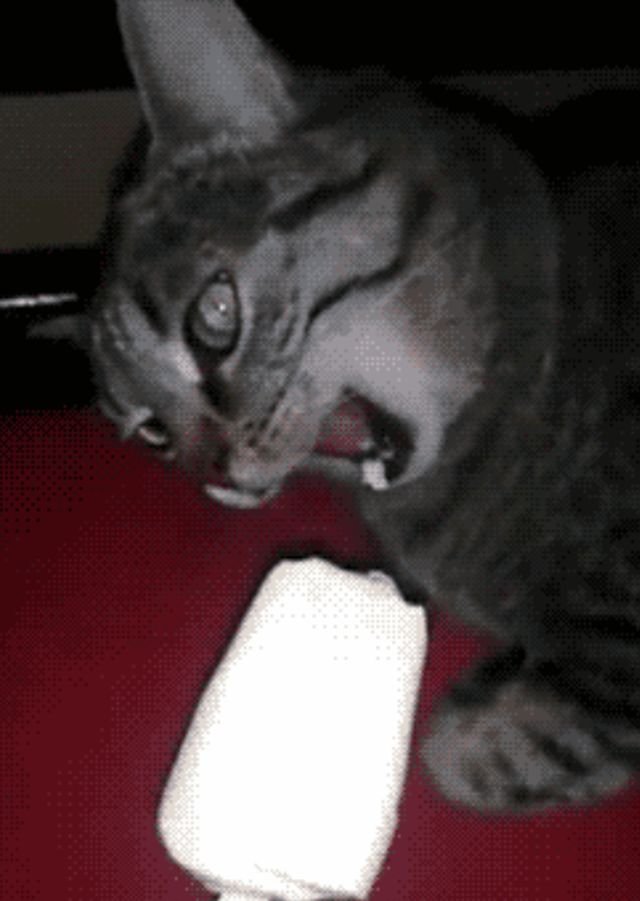 Fails (40 gifs)