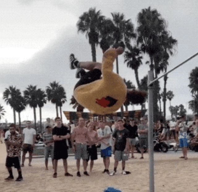 Wins And Fails (15 gifs)