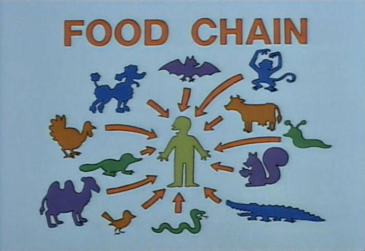 Funny Signs From "The Simpsons" (70 pics)